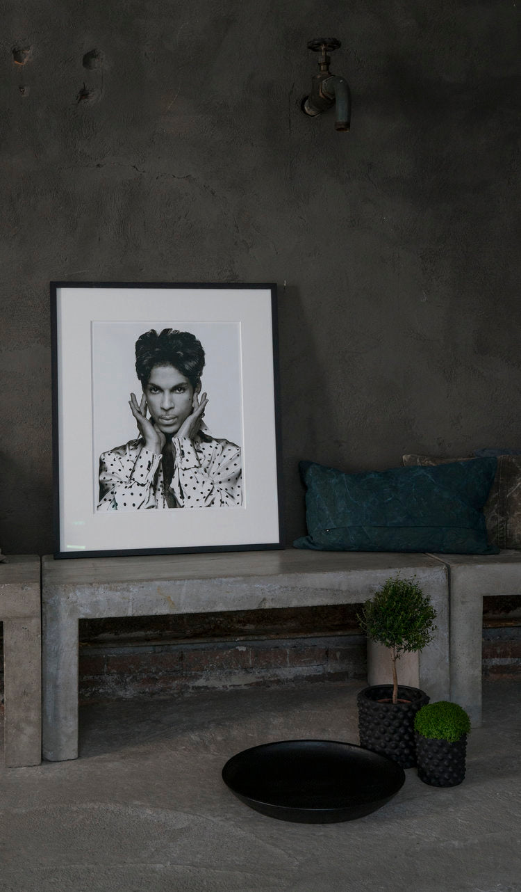 Prince