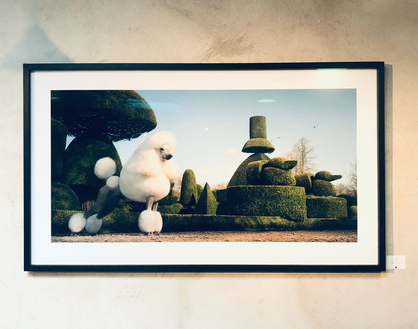 Topiary