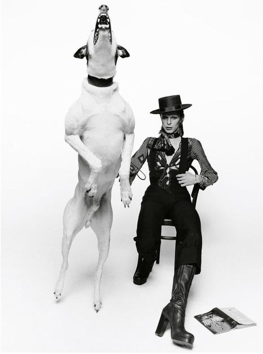 Diamond Dogs