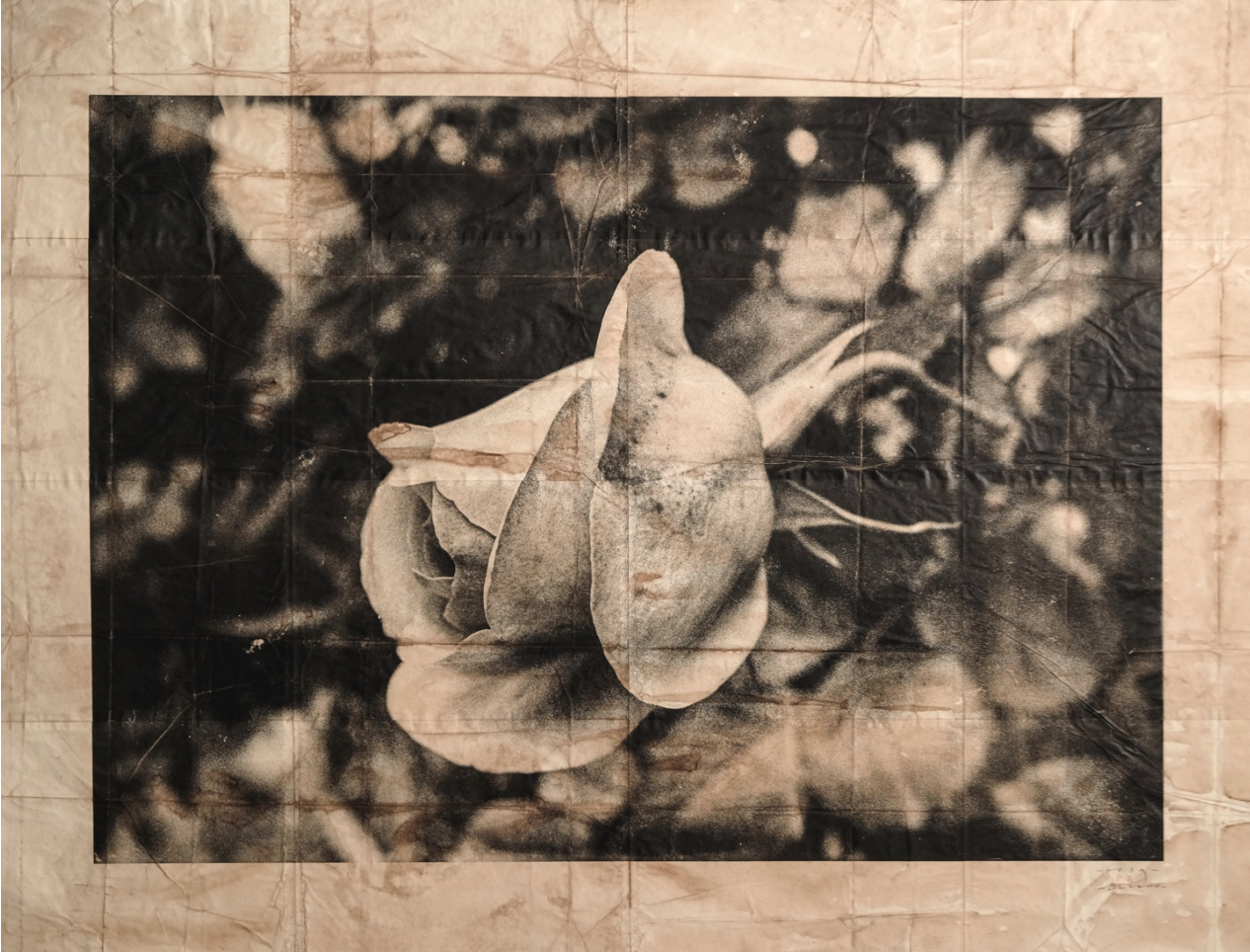 LAS TRECE ROSAS #013 BY PATRICIO REIG