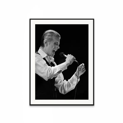 AT THE EDGE OF THE STAGE WITH DAVID BOWIE IIII BY STEFAN ALMERS