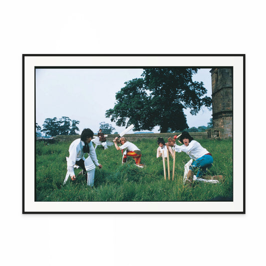 STONES PLAYING CRICKET BY MICHAEL JOSEPH