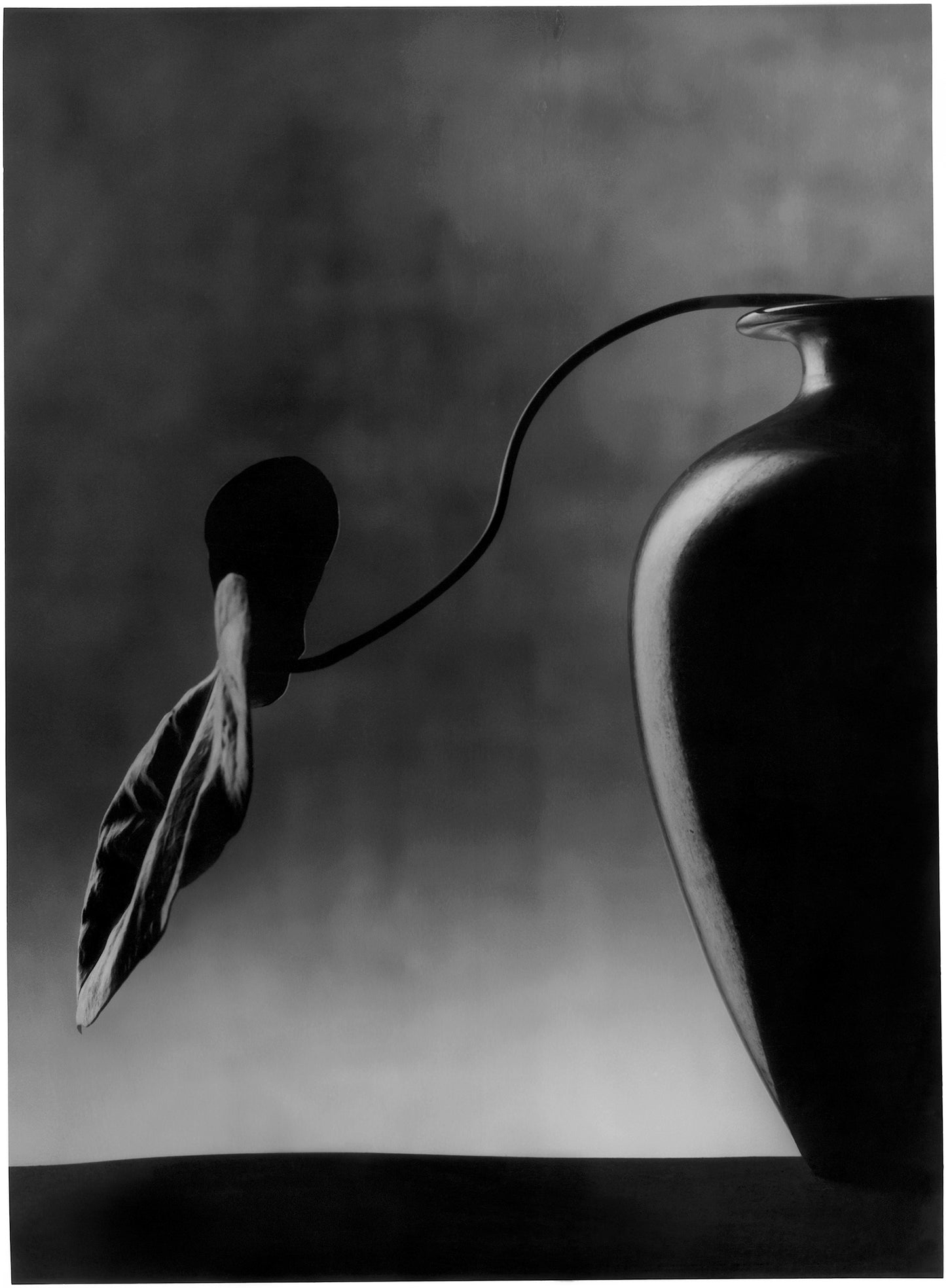 Vase noir, 1988
