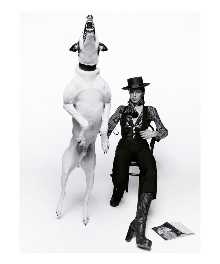 Diamond Dogs
