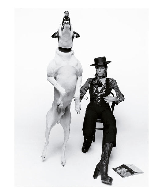 Diamond Dogs