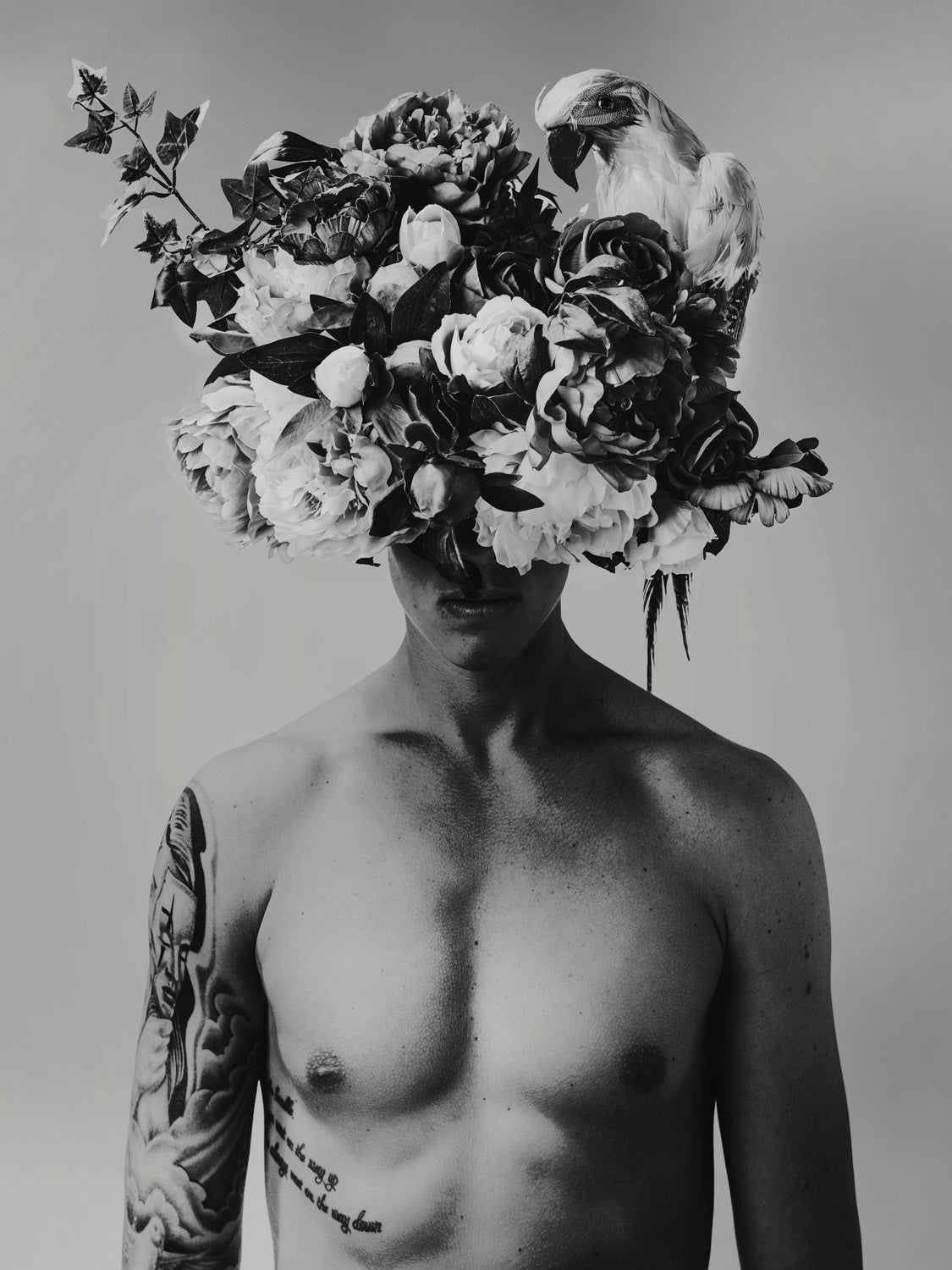 The Brain