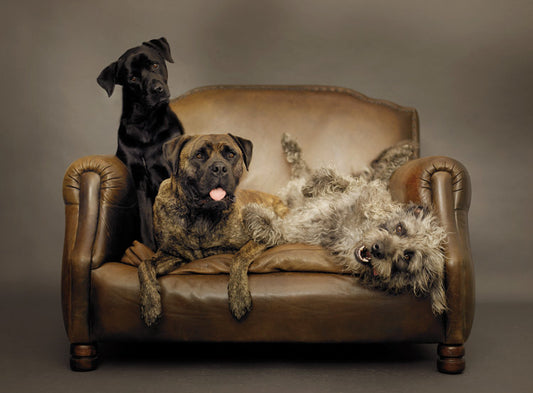 Slim, Ocar & Pluto