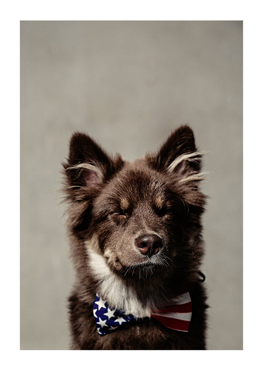 ELECTION DAY
