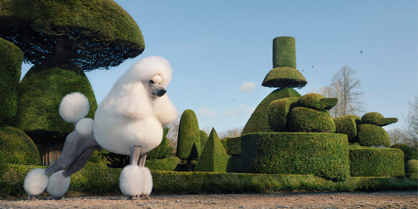 Topiary