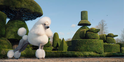 Topiary