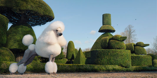 Topiary